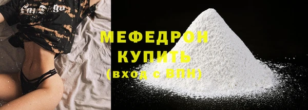 МДПВ Бородино