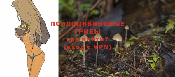 МДПВ Бородино