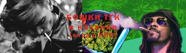 МДПВ Бородино