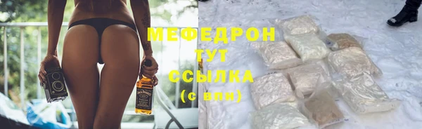 МДПВ Бородино