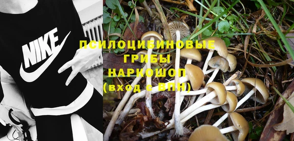 соль курить ск Богданович