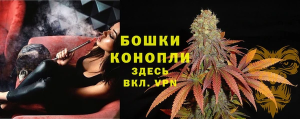 МДПВ Бородино