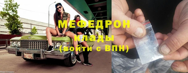 МДПВ Бородино