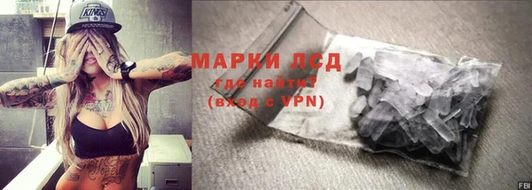 МДПВ Бородино