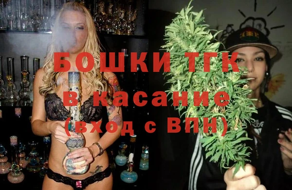 МДПВ Бородино
